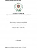 El Derecho Comparado Latinoamérica y Ecuador