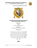 Práctica N°1. Laboratorio de Química Orgánica