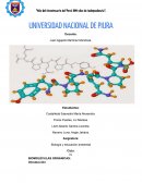 Biomoléculas orgánicas