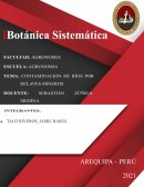 TIF CONTAMINACIÓN DE RÍOS POR RELAVES MINEROS