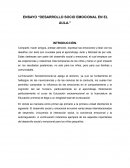 DESARROLLO SOCIO EMOCIONAL EN EL AULA