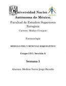 MÓDULO PIEL Y MÚSCULO ESQUELÉTICO