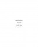 Control Organizacional