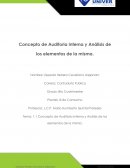 Concepto de Auditoria Interna y Análisis de los elementos de la misma