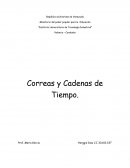 Correas y Cadenas de Tiempo