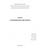 LA ORGANIZACIÓN COMO ENTIDAD