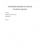 Administración del crecimiento en Sportstuff.com