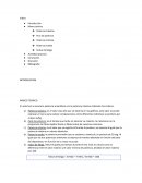 Cálculo índice de fatiga