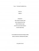 Caso 2 – Precision Worldwide, Inc.