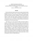 Analisis fernandez feo