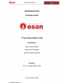 Análisis del ciclo de efectivo y necesidades de financiamiento de Kota: Un estudio de caso