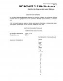 MICROSAFE CLEAN- Sin Aroma