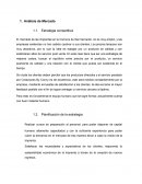 Análisis de Mercado. Estrategia competitiva