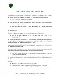 CUESTIONARIO PROBLEMAS AMBIENTALES. Página 1