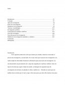 El proceso de investigación