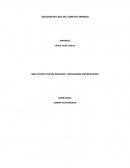 SOLUCION DE CASO DEL CONFLITO ARMADO