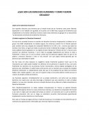 ¿Que son los derechos humanos y como fueron creados?