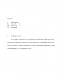 Caso empresa manufacturera