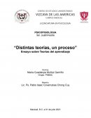 Teorías del aprendizaje. “Distintas teorías, un proceso”