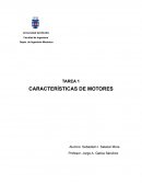 CARACTERÍSTICAS DE MOTORES