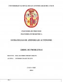 ELABORACÍON DEL ÁRBOL DE PROBLEMAS