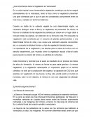 La vegetacion en Venezuela