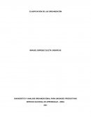 DIAGNOSTICO Y ANALISIS ORGANIZACIONAL PARA UNIDADES PRODUCTIVAS