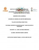 REPORTE DE INVESTIGACION “CASO DE EXITOS O FRACASOS”