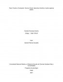 Programa de psicología