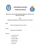 NORMATIVIDAD PARA PROMOVER LA FLEXIBILIDAD EN EL SEIN PERÚ