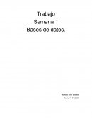 Bases de datos
