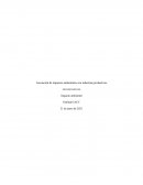 Impacto ambiental, tarea 2