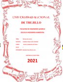 Informe Técnicas de lectura