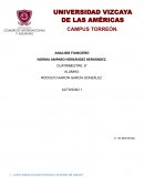 ¿Cómo explica la función financiera y el tamaño del negocio?