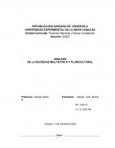 Analisis de la sociedad multietnica y pluricultural