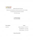 Linea de investigaciones