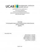 Caso de estudio Pixar