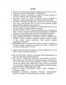 Guia delitos federales