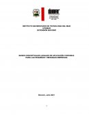 BASES CONCEPTUALES LEGALES DE APLICACIÓN CONTABLE PARA LAS PEQUEÑAS Y MEDIANAS EMPRESAS