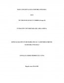 MAPA CONCEPTUAL DE AUDITORIA INTEGRAL