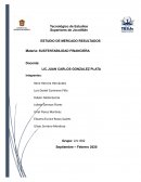 Estudio de mercado sobre nuestro proyecto sustentable Porta-laptop biodegradable