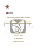 Carpeta gerencial de la unidad de cuidados intensivos adulto