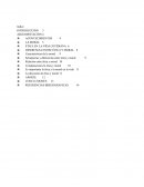 La conducta moral del hombre prehistórico