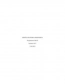 DISEÑO ADAPTABLE RESPONSIVE Programación Web II