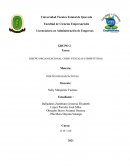 DISEÑO ORGANIZACIONAL COMO VENTAJAS COMPETITIVAS