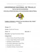 CASO SELECTAS MADERAS DEL PERÚ S.R.L