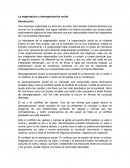 Organización y desorganización social