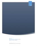 NIF A 2 SISTEMA DE INFORMACION