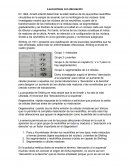 Leucoscitosis con desviacion