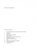 MODELO PROTOCOLO BIOSEGURIDAD